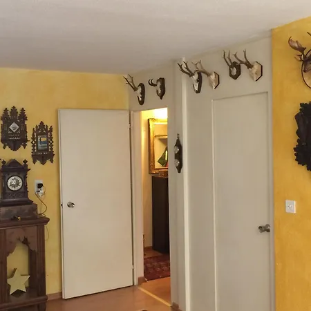 Appartamento Sankt Moritz Casa Vacanze *
